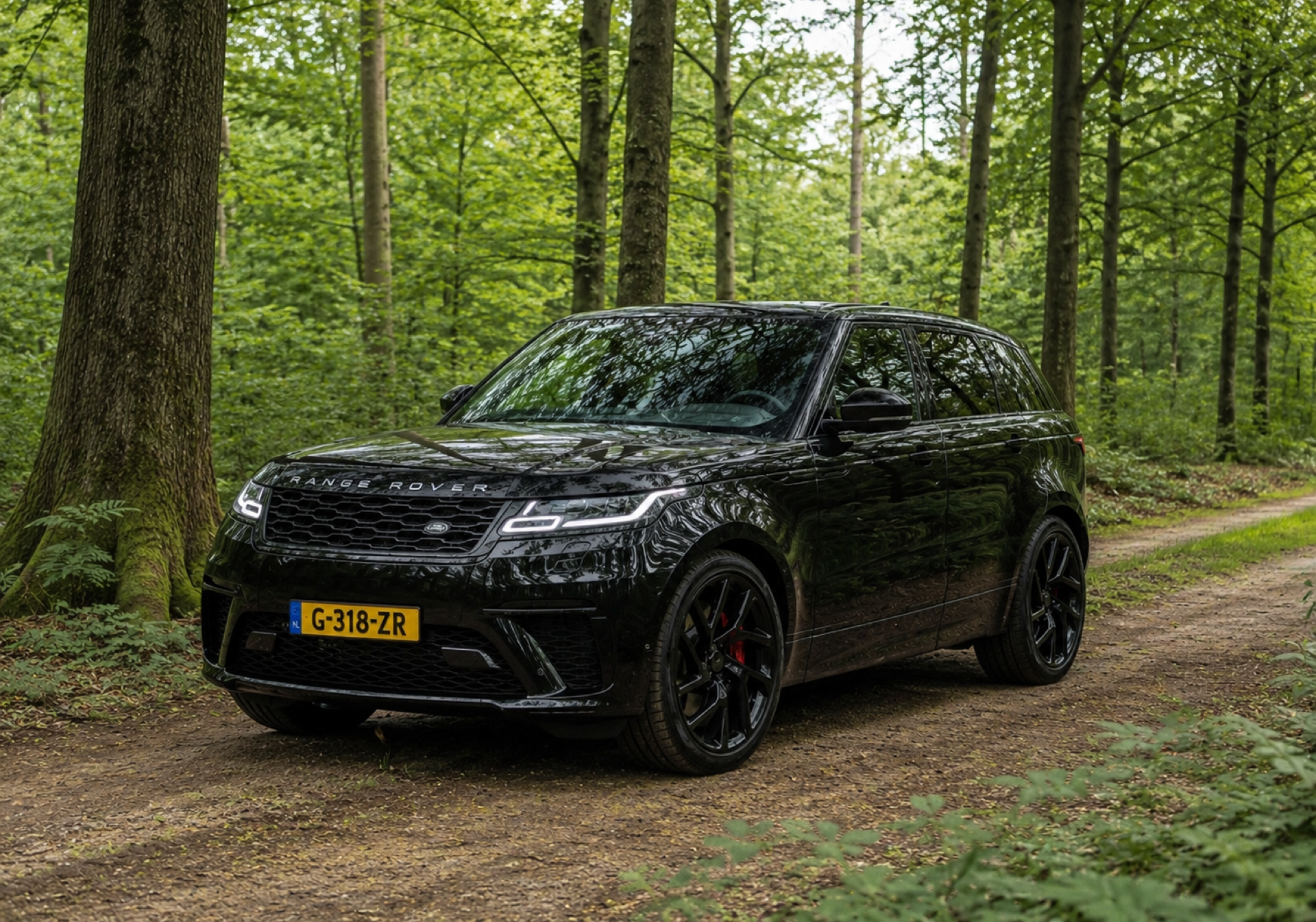 LAND ROVER RANGE ROVER VELAR 180 pk Handgeschakeld (2018) | Occasion Heroes
