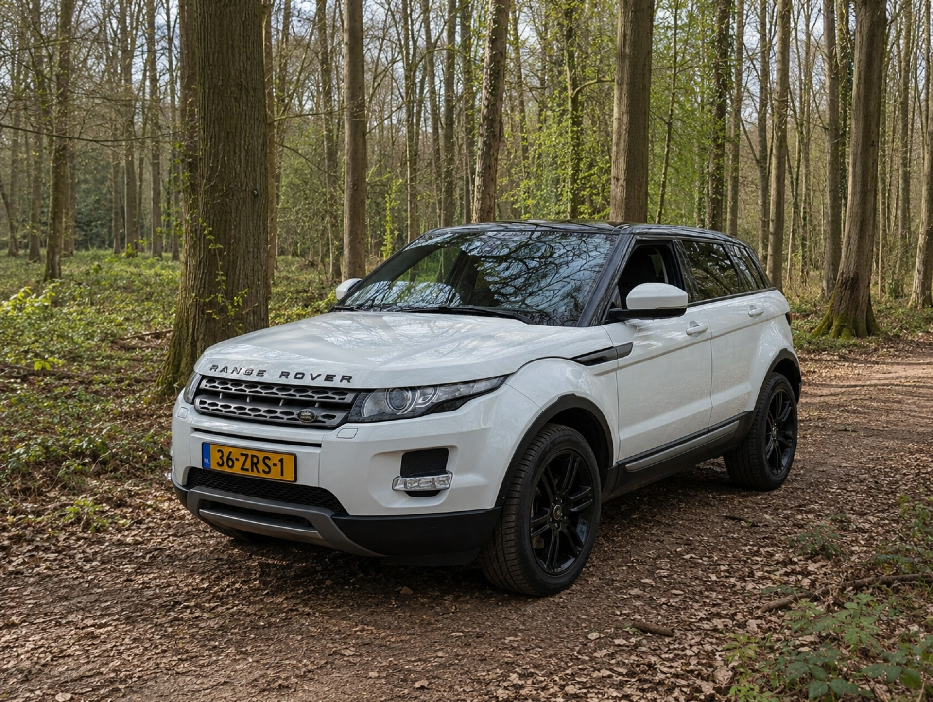 LAND ROVER Range Rover Evoque 2.0i SE (2013) | Occasion Heroes
